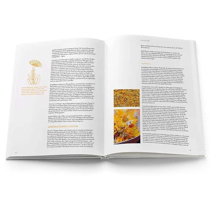 Buch Mit der Sprache der Blumen Innenansicht